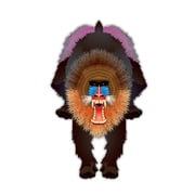 Brainstorm Mandrill Kite