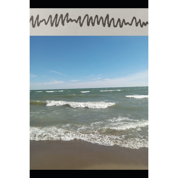 Brainwaves: A Memoir About Grief and the Boundary Between This Life and the Next, (Paperback)