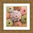 thumbnail image 1 of Bramwell 12x12 Gold Ornate Wood Framed with Double Matting Museum Art Print Titled - Sea Urchin Group, 1 of 4