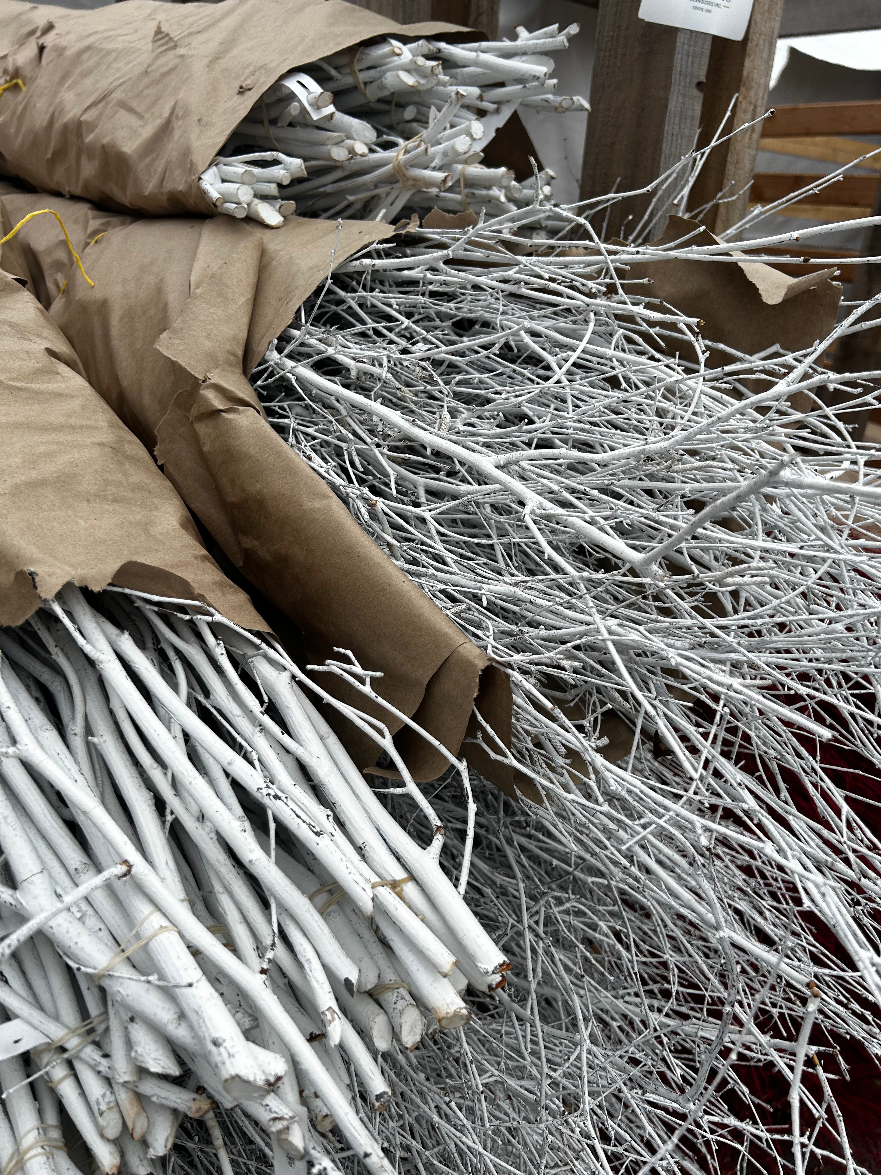 Branch, Birch Painted White, 45' (10 Branches/Bunch, 10 Bunches/Bundle