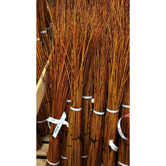 Branch, 'Flame' Willow, 3-4' (10 Branches/Bunch, 10 Bunches/Bundle) Pack of 10