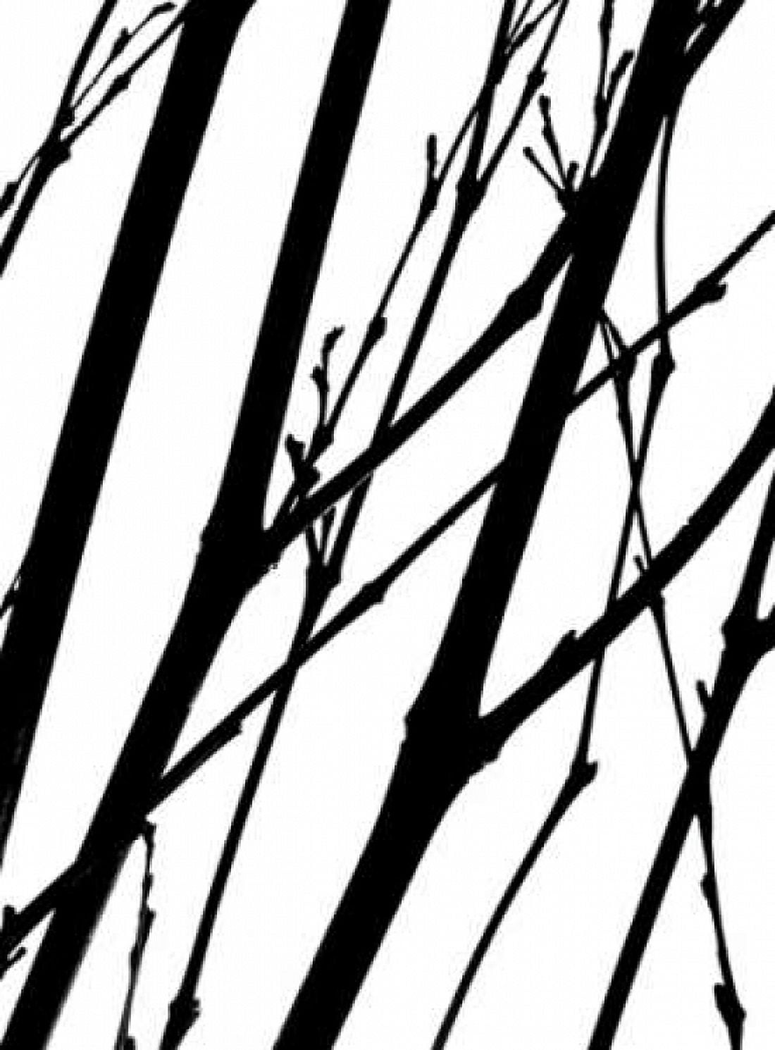 Branch Silhouette II Canvas Art - Monika Burkhart (18 x 24)
