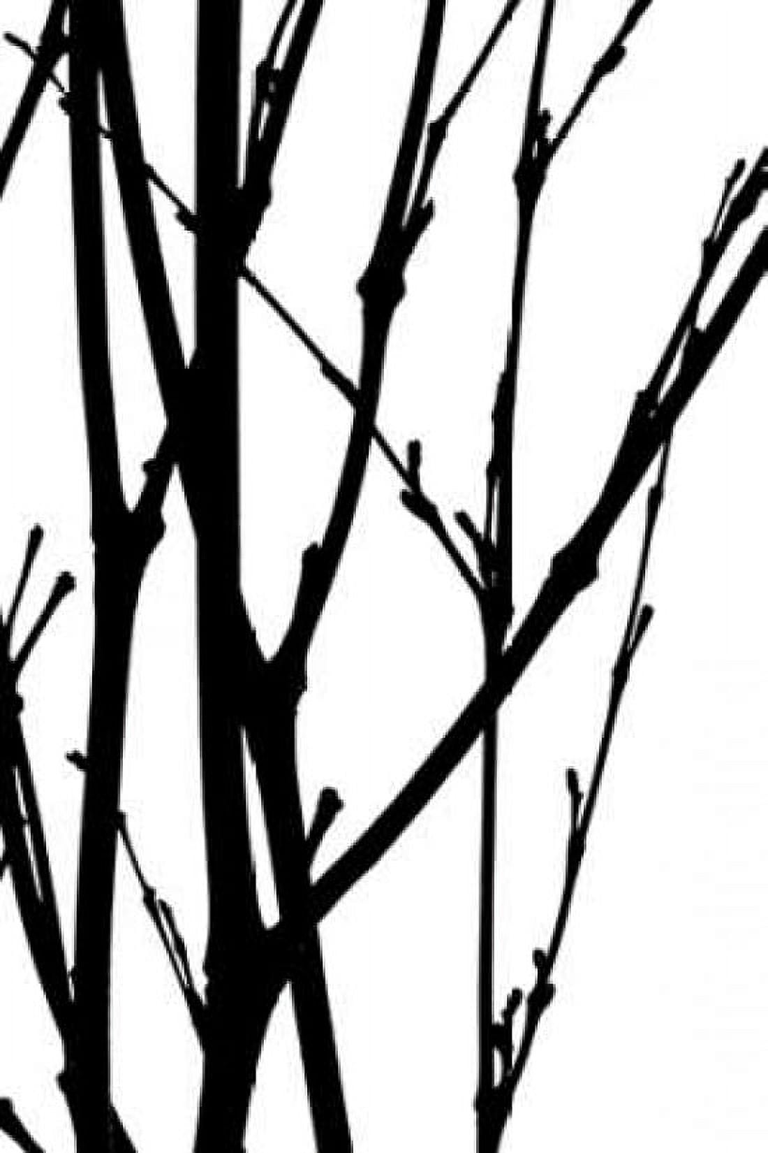 Branch Silhouette III Canvas Art - Monika Burkhart (24 x 36)