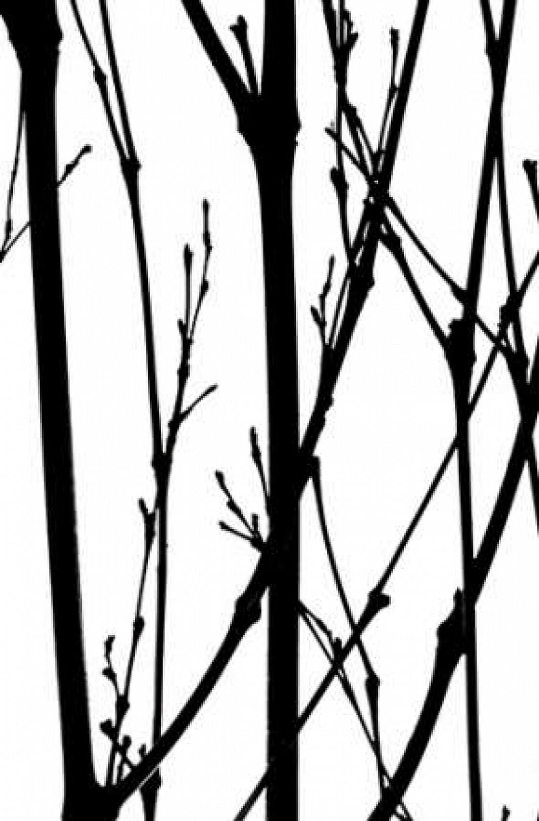 Branch Silhouette IV Canvas Art - Monika Burkhart (12 x 18)