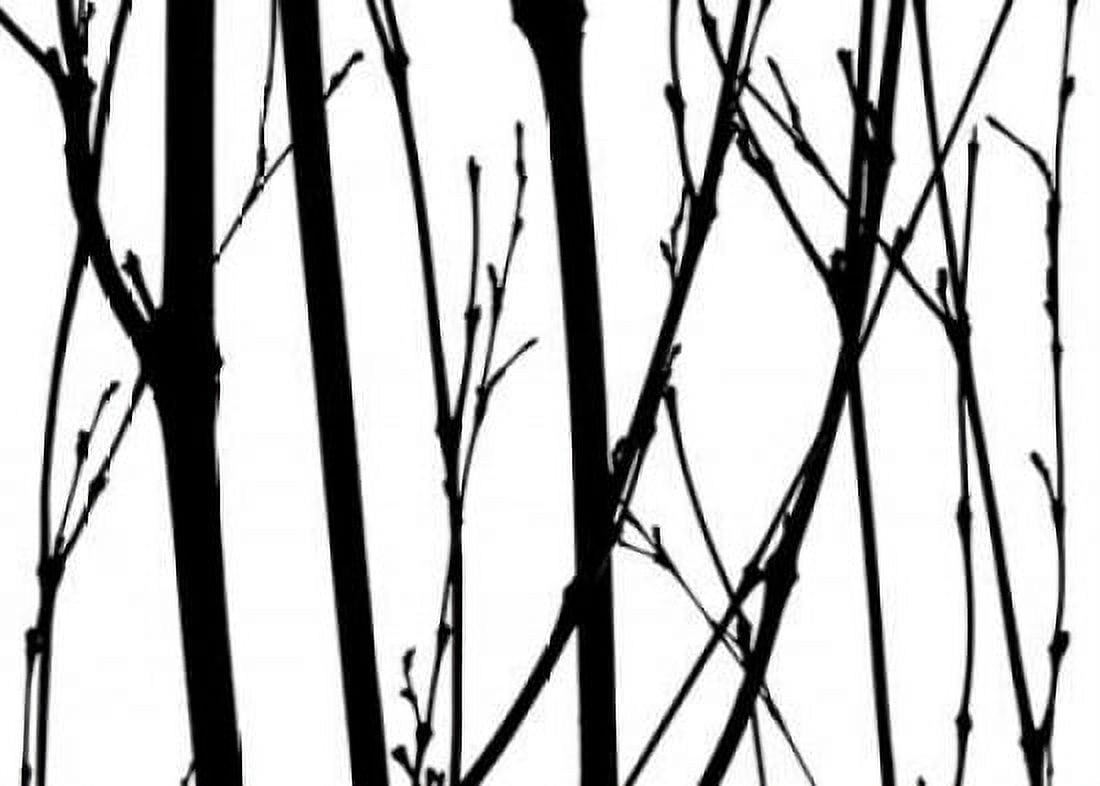 Branch Silhouette V Canvas Art - Monika Burkhart (20 x 28)