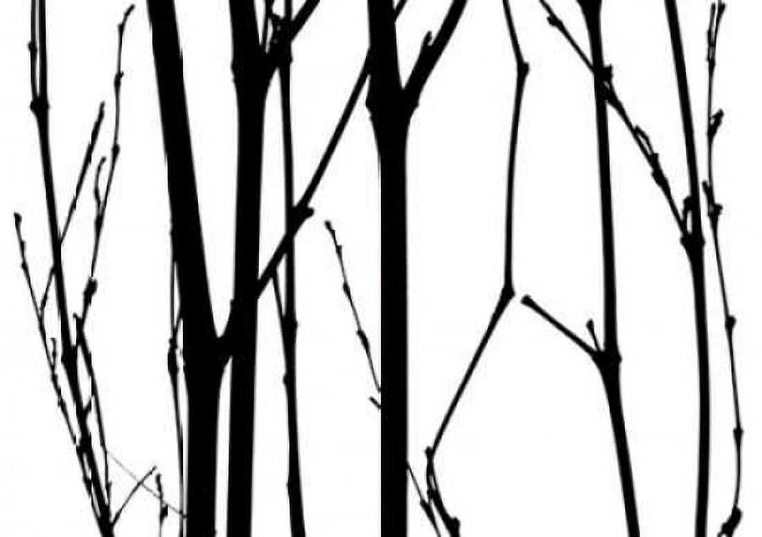 Branch Silhouette VI Canvas Art - Monika Burkhart (20 x 28)
