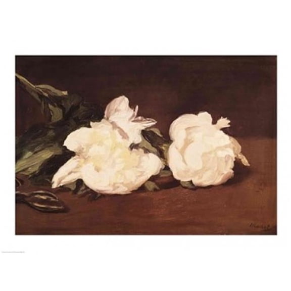 Branch of White Peonies & Secateurs 1864 Poster Print by Edouard Manet - 24 x 18 in.