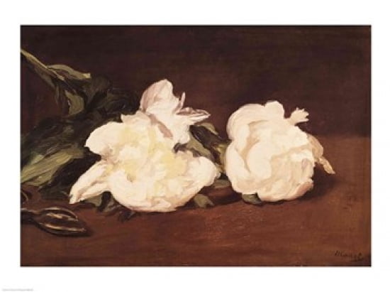 Branch of White Peonies and Secateurs 1864 Canvas Art - Edouard Manet (24 x 18)