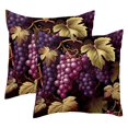 Branches of Grapes Fruits 2PCS Throw Cushion Covers Soft Velvet Pillow