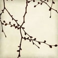 thumbnail image 1 of Branches I Poster Print by Amy Melious (24 x 24), 1 of 2