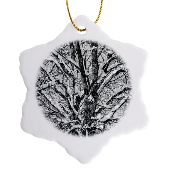 3drose, Branches of an Oak Tree in Winter in Black and White, 3 inch Snowflake Porcelain Ornament