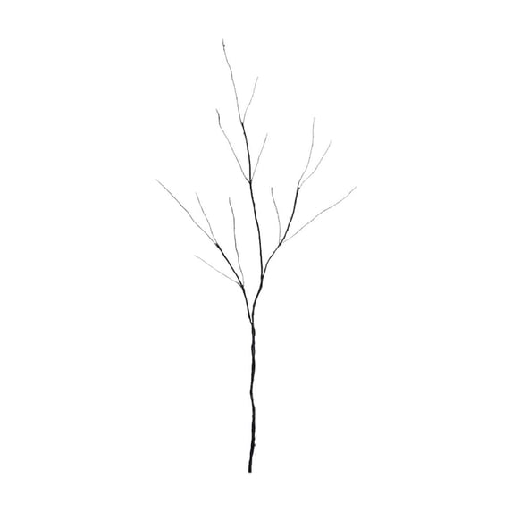 Branches for Vase, Natural Birch Tree Branches for Decoration, for Vases, Rustic Branches for Crafts, Weddings, Seasonal & Home Decor Black