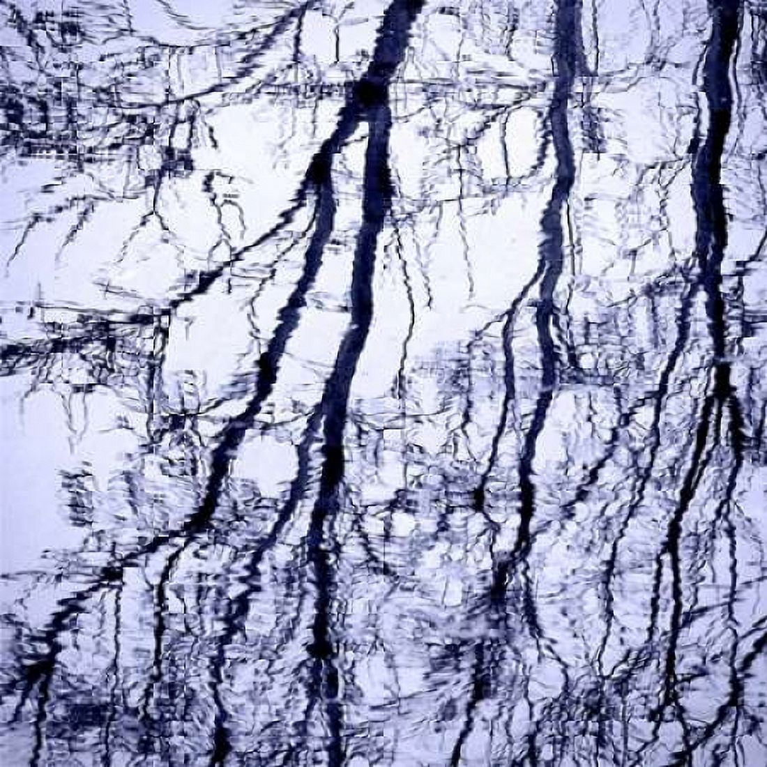 Branches on Purple Canvas Art - Gail Peck (24 x 24)