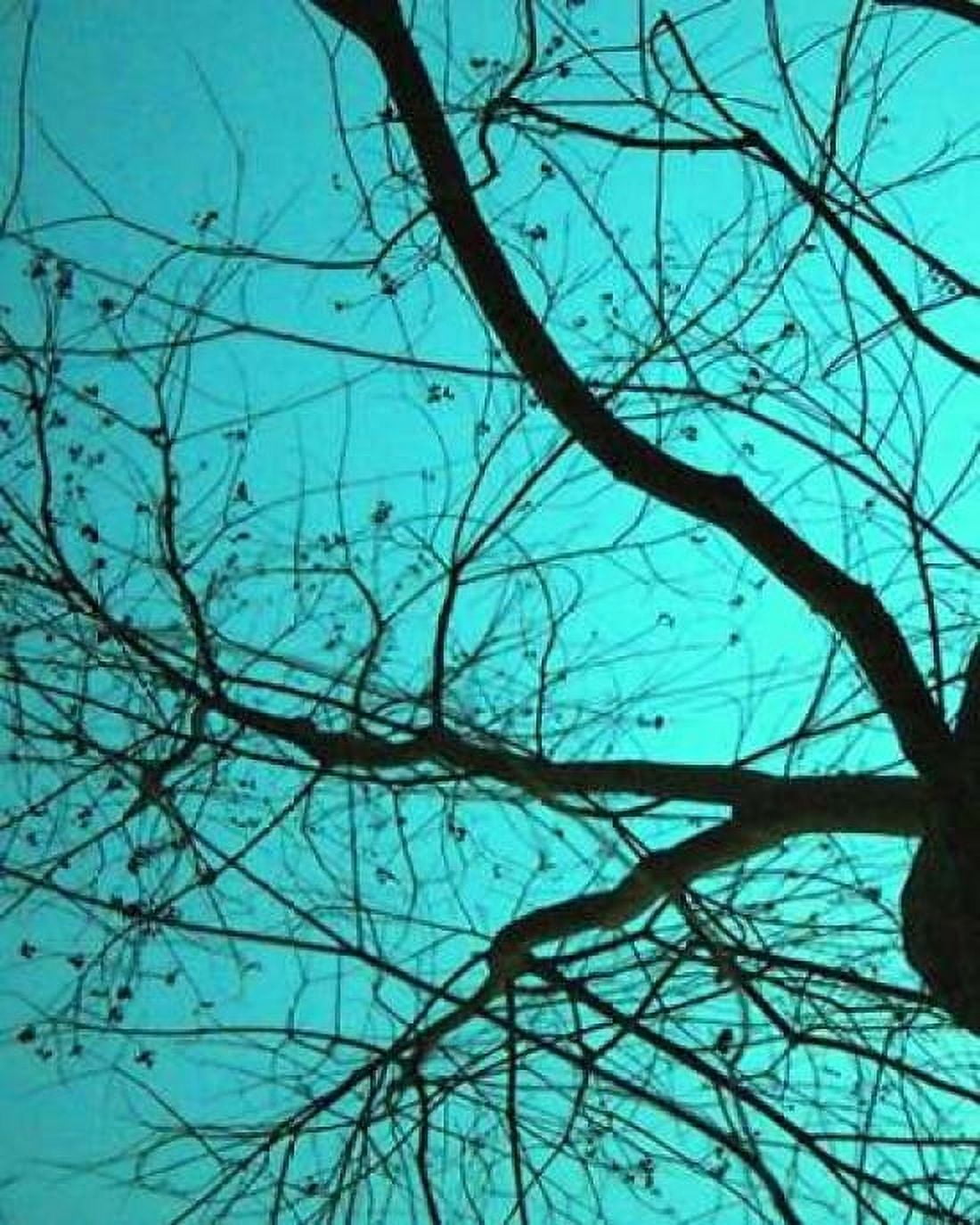 Branches on Teal I Canvas Art - Gail Peck (20 x 24)