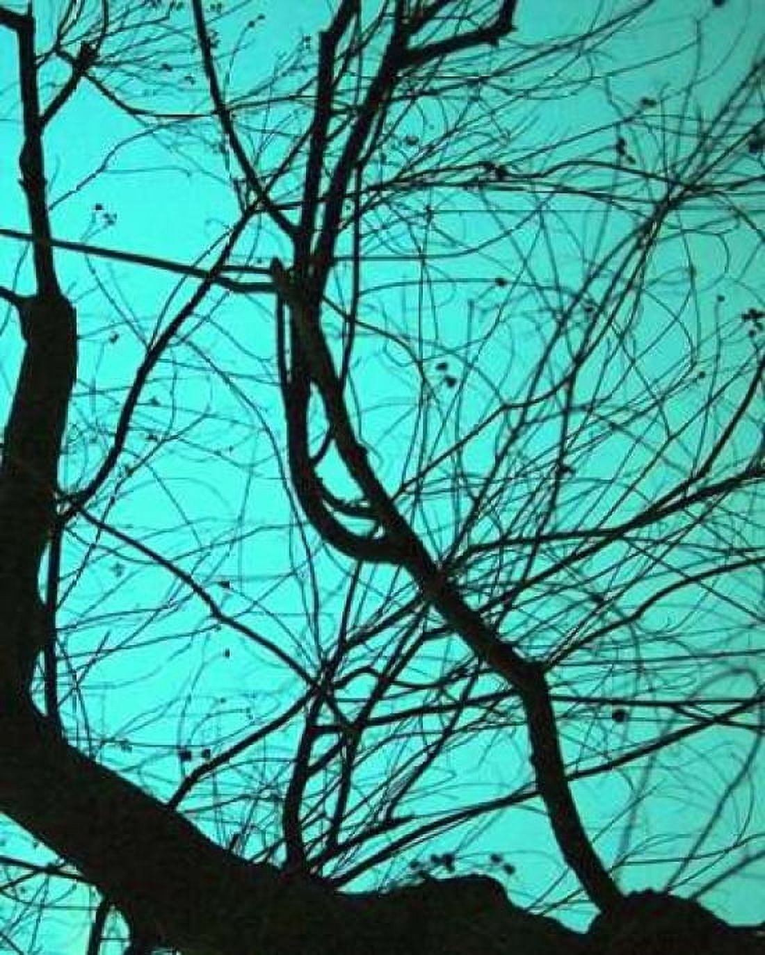 Branches on Teal II Canvas Art - Gail Peck (20 x 24)