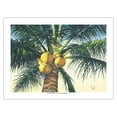 thumbnail image 1 of Branching Out - Coconut Tree - From an Original Color Painting by Scott Westmoreland - Bamboo Fine Art 290gsm Paper (Unframed) 12x16in, 1 of 4