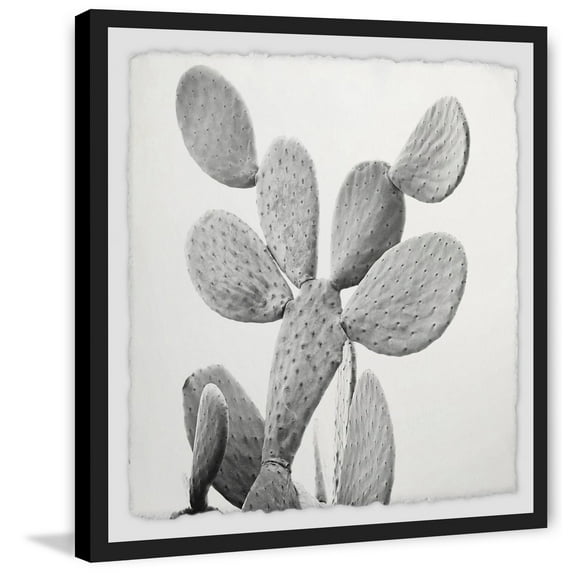 Branching Out II Framed Painting Print