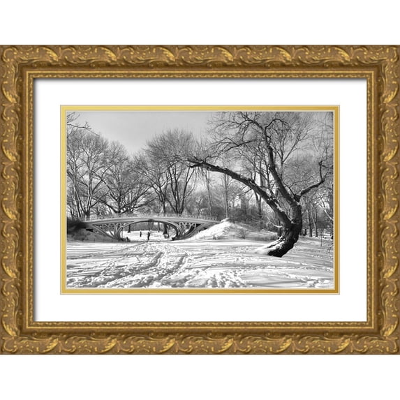 Brancoveanu, Mariuca 14x11 Gold Ornate Wood Framed with Double Matting Museum Art Print Titled - Symbiosis
