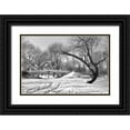 thumbnail image 1 of Brancoveanu, Mariuca 18x13 Black Ornate Wood Framed with Double Matting Museum Art Print Titled - Symbiosis, 1 of 4