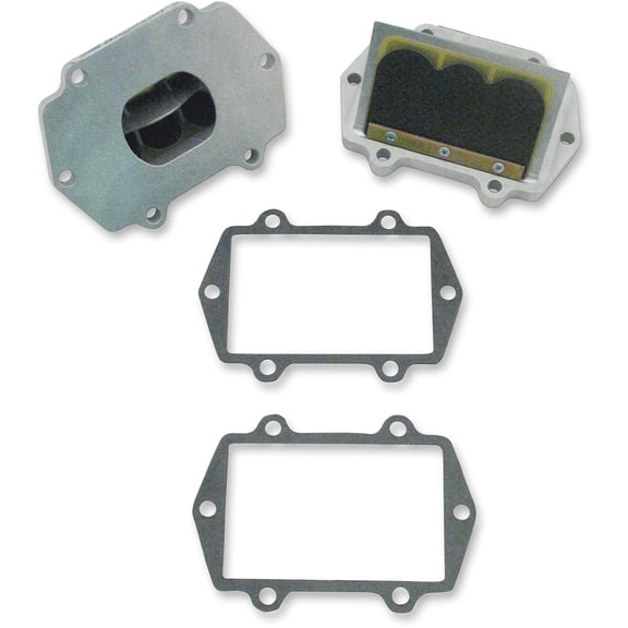 Boyesen Rage Cage (RAD51A2)