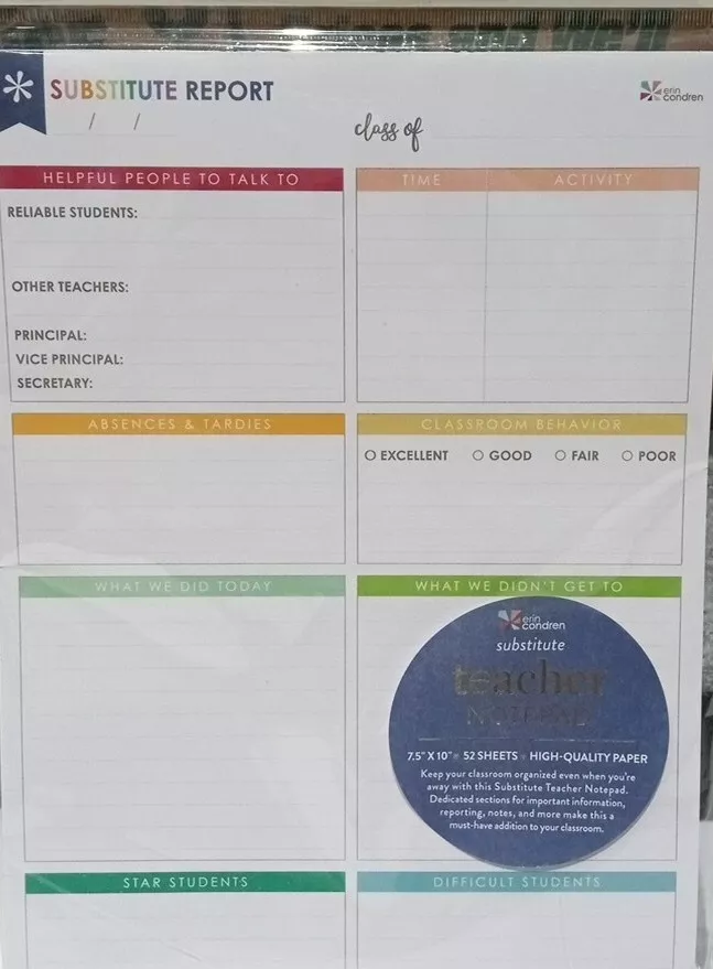 Brand New Erin Condren Substitute Teacher Report Notepad, 7.5X10" 52 Sheets #U24