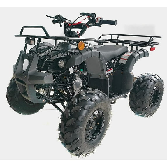 Brand New TAO TAO T-Force ATV 125cc Kids Quad Youth powerful Gas Powered 4 Wheeler With Reverse And Big Rugged Tires CARB Approved for California Buyers- (Awesome Black Color)