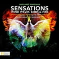 thumbnail image 1 of Brandman,M. / Muzik,Vit / Vronsky,Petr - Brandman: Sensations - Music & Performance - CD, 1 of 1