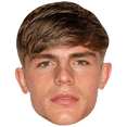 thumbnail image 1 of Brandon Williams (Short Hair) Celebrity Mask, Flat Card Face, Fancy Dress Mask, 1 of 5