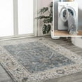 thumbnail image 1 of JONATHAN Y WASHABLE 4 x 6 Area Rug, Brandy Rustic Border - Dark Gray/Cream, WSH321A-4, 1 of 10