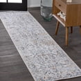 thumbnail image 1 of JONATHAN Y WASHABLE 2 x 8 Runner Rug, Brandy Rustic Border - Light Gray/Blue, WSH321B-28, 1 of 10