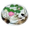 thumbnail image 1 of Branlia Lotus Bowl Glass Planter Terrarium Hydroponic Planter Floral Container Fish Bowl Creative Gifts, 1 of 6