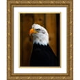thumbnail image 1 of Branson, Clive 12x14 Gold Ornate Wood Framed with Double Matting Museum Art Print Titled - Bald Eagle, 1 of 4