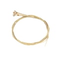 thumbnail image 1 of Brass Acoustic Guitar Strings with Anti-Oxidative Coating and Nickel-Chromium Ends, 1 of 6