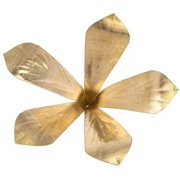 Brass Amra Pallav/Aam patta/Mango Leaf for Pooja Approx. 3.5 Inches