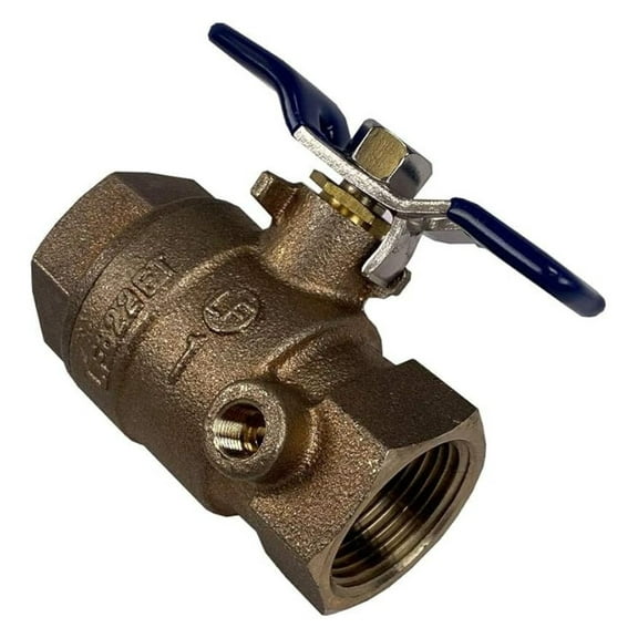 Brass Backflow Preventer with Test Port 1 Inch FPT | BBVB-100T - Durable Lead-Free Brass Check Valve for Water Systems, Irrigation, and Plumbing Applications