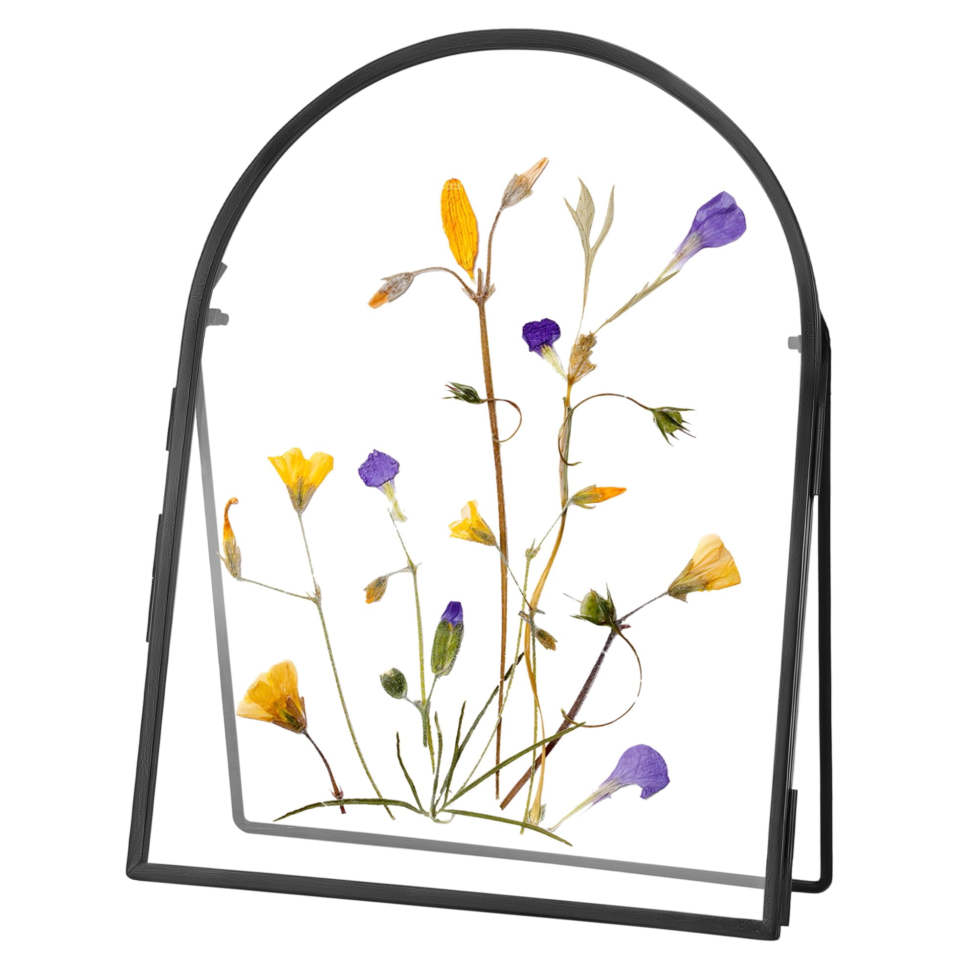 Brass Floating Picture Frame for Pressed Flowers, Double Glass Display ...