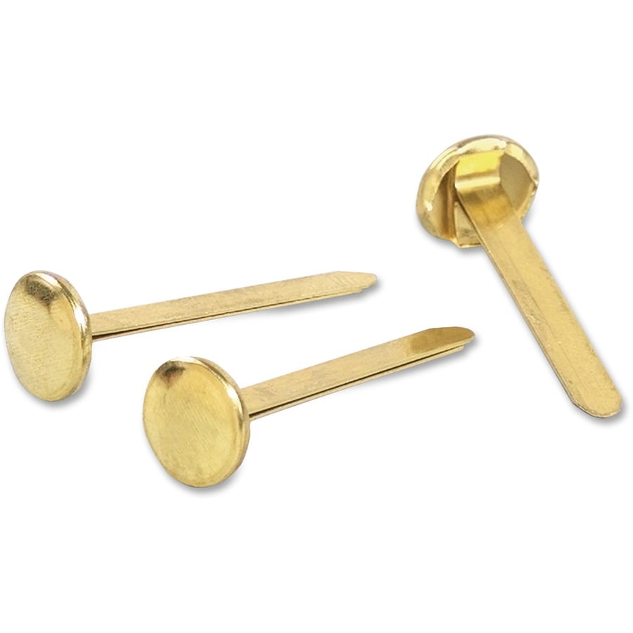 1-5/8 Brass Partition Pin (100 Pack)