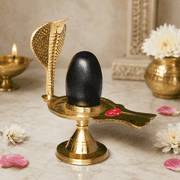 Brass Shiva Lingam with Naag Cobra Hood | Black Shivling Idol on Yoni Base for Puja, Home Mandir, Vastu & Spiritual Decor | 0.44 lb