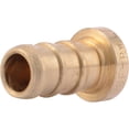 thumbnail image 1 of Cash Acme Brass Test Plug - Easy Installation - 3/8 In. Barb, 1 of 2