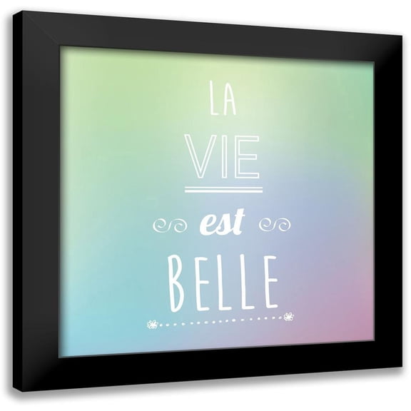 Braun Studio 12x12 Black Modern Framed Museum Art Print Titled - La vie est belle