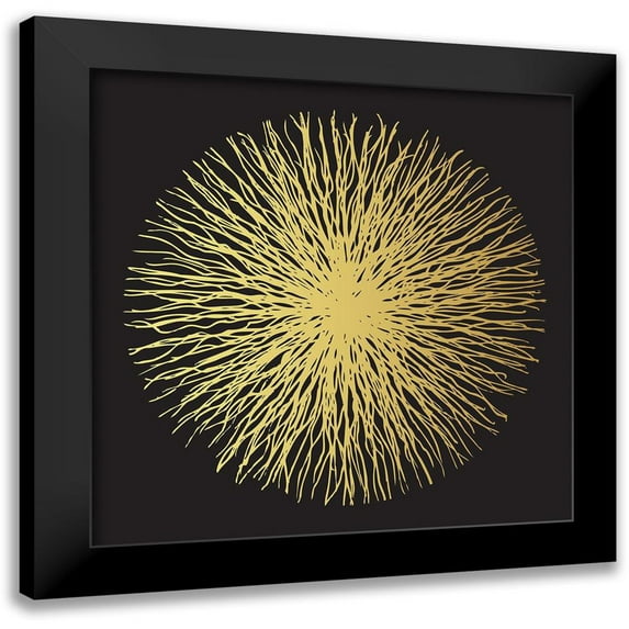 Braun Studio 12x12 Black Modern Framed Museum Art Print Titled - Soleil dore