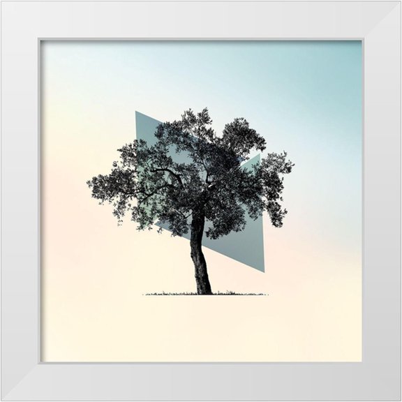 Braun Studio 12x12 White Modern Wood Framed Museum Art Print Titled - Spectrum 1