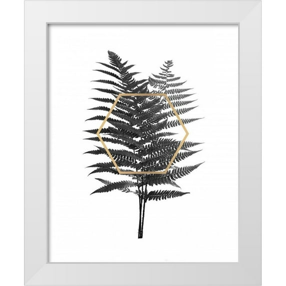 Braun Studio 12x14 White Modern Wood Framed Museum Art Print Titled - Fern Leaf with Gold