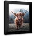 thumbnail image 1 of Braun Studio 14x18 Black Modern Framed Museum Art Print Titled - Highland Cow, 1 of 5