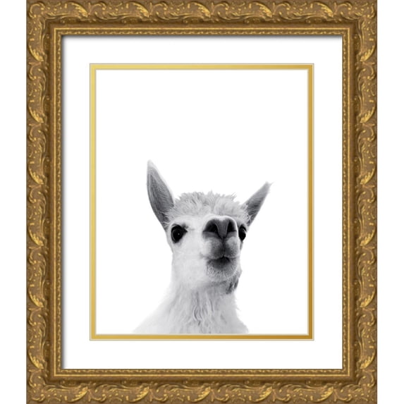 Braun Studio 15x18 Gold Ornate Wood Framed with Double Matting Museum Art Print Titled - Lama Rigolo