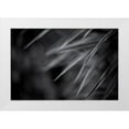 thumbnail image 1 of Braun Studio 18x13 White Modern Wood Framed Museum Art Print Titled - Feuillage Délicat, 1 of 4