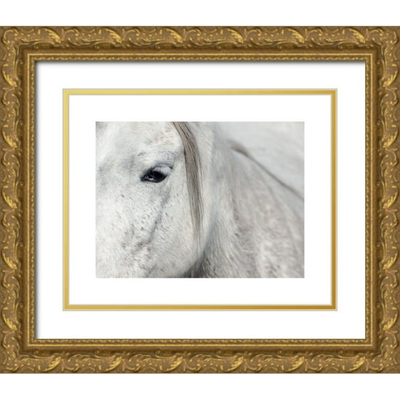 Braun Studio 18x15 Gold Ornate Wood Framed with Double Matting Museum Art Print Titled - Crin Blanc 1