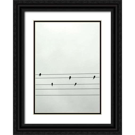 Braun Studio 18x24 Black Ornate Wood Framed with Double Matting Museum Art Print Titled - Guitar Birds