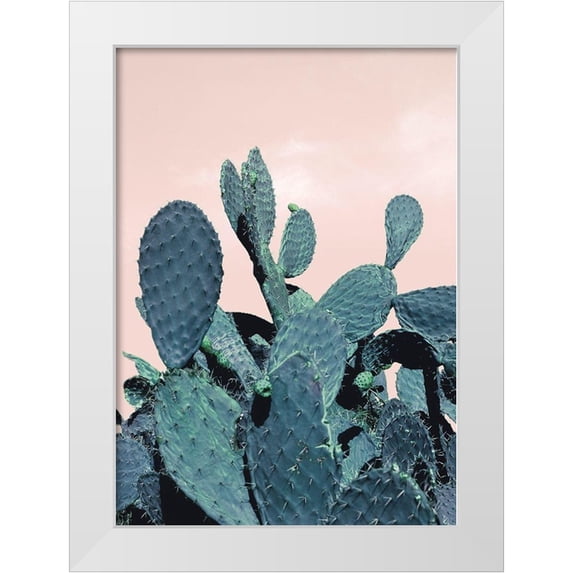 Braun Studio 18x24 White Modern Wood Framed Museum Art Print Titled - Cactus Raquettes