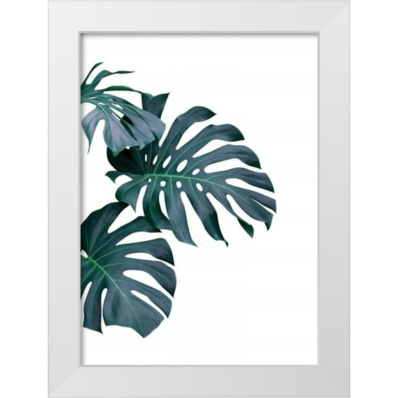 Braun Studio 18x24 White Modern Wood Framed Museum Art Print Titled - Monstera